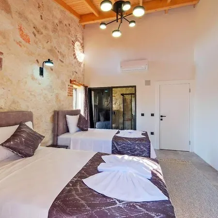 Ader 3 フェティエ